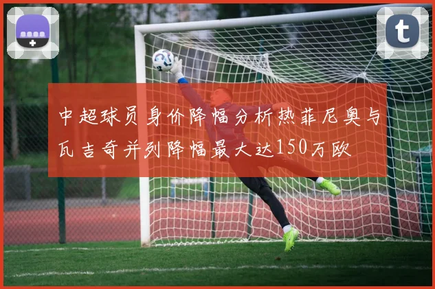 中超球员身价降幅分析热菲尼奥与瓦吉奇并列降幅最大达150万欧