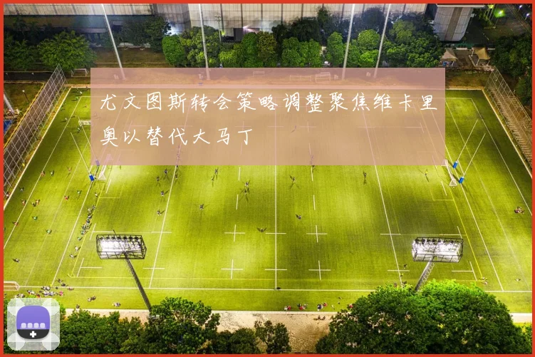 尤文图斯转会策略调整聚焦维卡里奥以替代大马丁