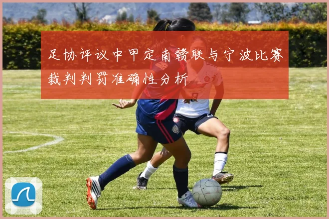 足协评议中甲定南赣联与宁波比赛裁判判罚准确性分析