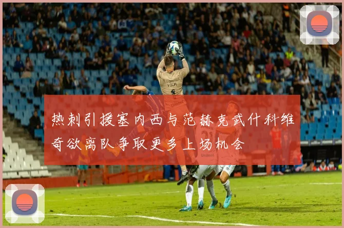 热刺引援塞内西与范赫克武什科维奇欲离队争取更多上场机会