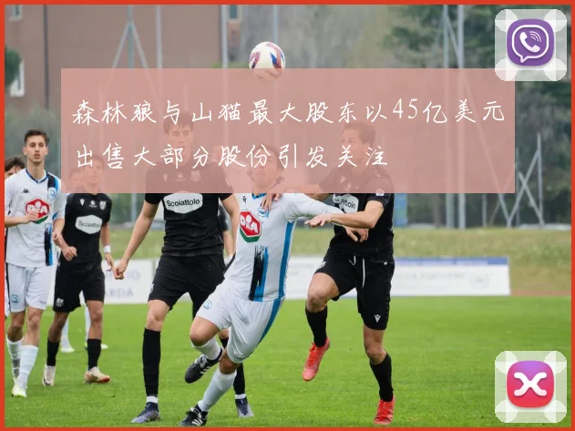 森林狼与山猫最大股东以45亿美元出售大部分股份引发关注
